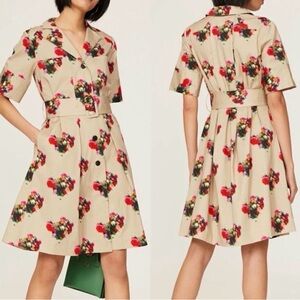 Adam Lippes Floral Print Dress